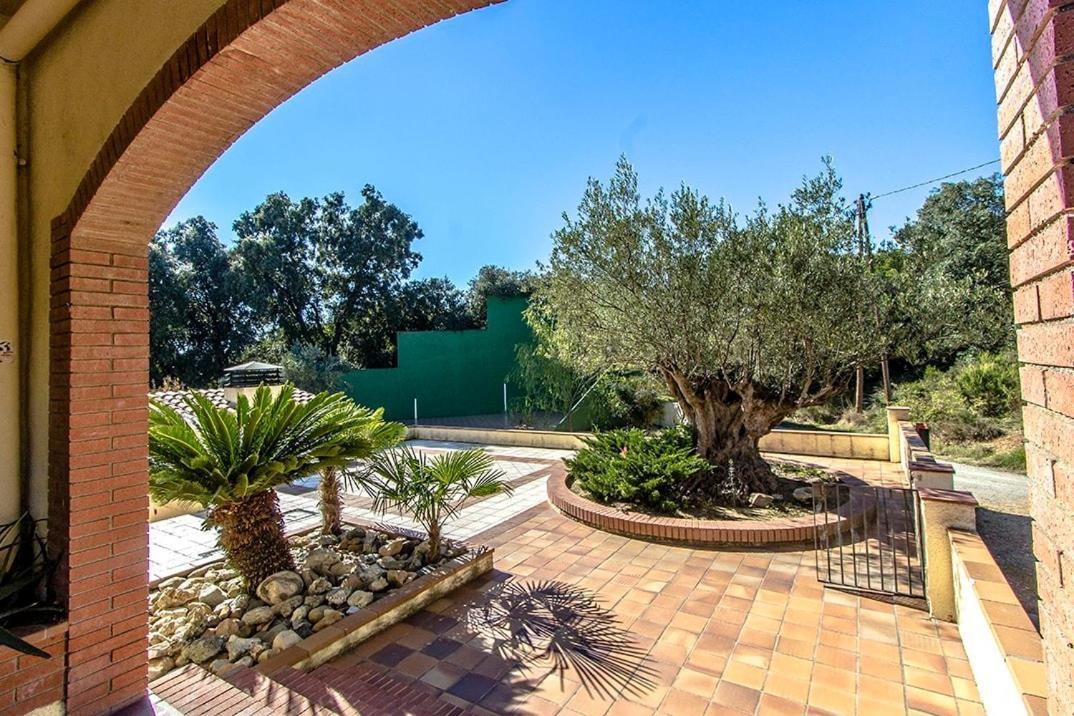 Catalunya Casas Nature And Tranquility For 24 Pax - 30Km To Beach Sant Pere de Vilamajor 外观 照片